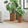 vidaXL Košara za rastline s shranjevanjem 2 pcs Rjava Kubu rattan