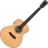 Pasadena PT-100E Natural Ostale elektroakustične (Kot novo)