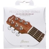 Ibanez IACSP61C String Set 010-047 Phosphor Bronze