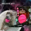 Dog Comets Halley - Pink - Z vrvjo