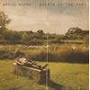 Bruce Soord - Ghosts In The Park (Dark Green Coloured) (LP)