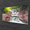 tulup.si Slika na akrilnem steklu Slap narava 100x50 cm 2 obešalnika