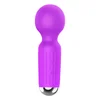 Gardj Europe Vibrator – Mini USB-masažer z akumulatorjem in 20 funkcijami – vijoličen