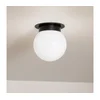 Kichler KL-ALBERS-F-G-BK-plafonsko svetlo ALBERS 1xE27/40W/230V prečnik 20,3 cm crno