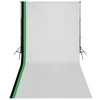 vidaXL Komplet za fotografski studio s 3 ozadji in okvirjem 3x6 m
