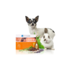 DERMOSCENT Ampula za pse 0-10kg Essential 6 spot-on 0.6ml