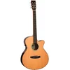 Tanglewood TRS4CE Rosewood Smart folk elektro-akustična gitara