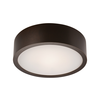 Plafonska lampa 1xE27/60W/230V