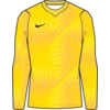 Nike Dres z dolgimi rokavi Dri-FIT Gardien VI Goalkeeper Long Sleeve