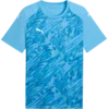Puma Dres teamFINAL Graphic