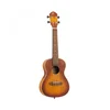 Ukulele Concert Earth serija G-C-E-A RUDAWN Ortega