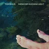 Hans-Joachim Roedelius - Wenn Der Südwind Weht (Reissue) (LP)