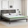 Vidaxl Blazine za vzmetnice Bela in zelena 200 x 200 cm