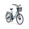 Električni bicikl 26 VALENCIA (250W 36V/10.4Ah lithium) siva