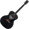 Pasadena PG-100 Black Akustična kitara Jumbo (Rabljeno)