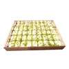 Halva sa pistaćima, 100g