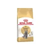 Royal Canin hrana za mačke British Shorthair 2kg