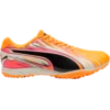 Puma Šprintarice evoSPEED Haraka Spikeless