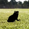 Atelier Del Sofa Dekorativna figura Frog 01, 34x22 cm, 1.5 mm