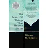 The Beautiful Things That Heaven Bears