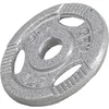Gorilla Sports Teg od livenog gvožđa 1,25 kg (30 mm u sivoj boji) ( 100542-00003-0005 )