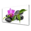 tulup.si Slika na steklu Orchid flower art 120x60 cm 4 obešalnika