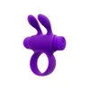 S Pleasures Cock Ring S Pleasures Rabbit Purple - Nevibrirajoči obroček
