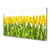tulup.si Slika na steklu Tulipani rože narava 100x50 cm 4 obešalnika