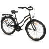 Galaxy Bicikl Cruiser 26