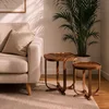 Hanah Home set od 2 umetnutih stočića Hisar 2, orah