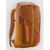 Patagonia Black Hole 25L nahrbtnik cinnamon brown