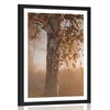 Plakat s paspartujem megleni jesenski gozd - 30x45 no frame