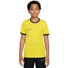 Nike T-shirt Dri-Fit Academy 25 Jaune Rumena