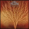 Van Der Graaf Generator - Still Life (Reissue) (LP)