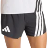 adidas Terrex Kratke hlače Xperior Pro Aero