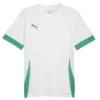 Dre Puma teamGOAL Matchday Jerey