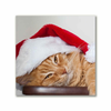 tulup.si Slika na platnu Cat Cap Santa Claus 40x40 cm