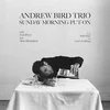 Andrew Bird Trio - Sunday Morning Put-On (Limited Edition) (LP)