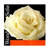 Struna G Wondertone Solo violina 4/4 medium