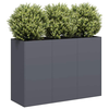 vidaXL Sadilnik Antracit 120x40x80 cm Hladno valjano jeklo