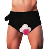 Orion Penis Briefs