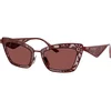 Dolce & Gabbana DG2311 131975