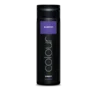 Boja za kosu Direct Colour Mystic Purple – Subrina Professional – 200 ml