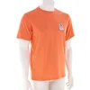 Helly Hansen Massif Graphic Moški Kratka majica