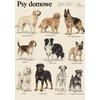 Plakat 21x30 cm Domači psi pasme psov vintage atlas pasem A4