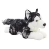 Husky plišast, ležeč 35 cm