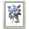 Home Gallery Slika Veliki Magnolija na prirodnom platnu 23x29cm