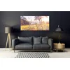 tulup.si Slika na steklu Grass tree travnik narava 140x70 cm 4 obešalnika