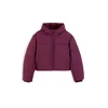 Tommy Jeans Zimska jakna jajčevec