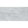 NAICA GRIS 60x120